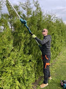 Elupuuheki pügamine ja muud aiatööd (1 foto / 1)
