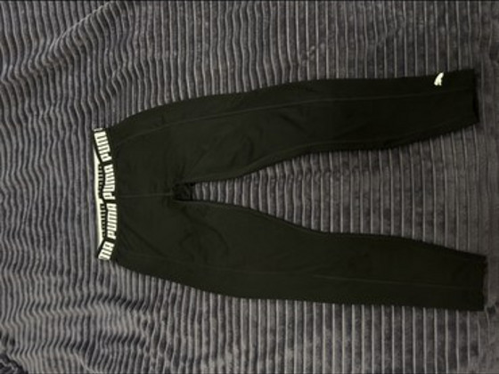 Puma retuusid