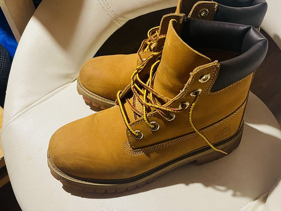 Timberland 36