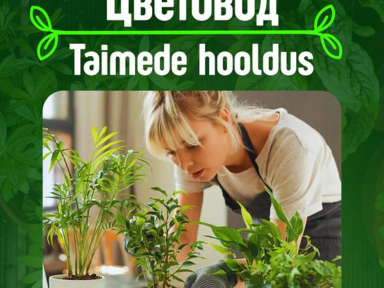 Уход за растениями, пересадка, дезинфекция