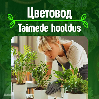 Уход за растениями, пересадка, дезинфекция