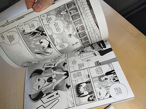 Manga 3 tükki (7 foto / 9)