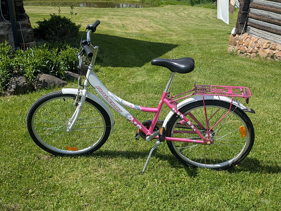 Laste jalgratas Raleigh Daisy