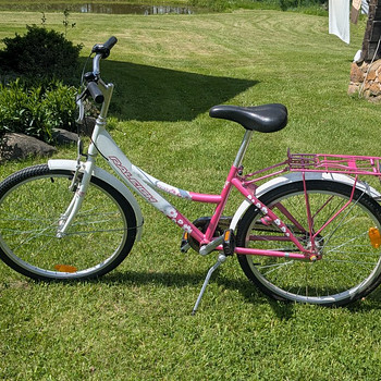 Детский велосипед Raleigh Daisy
