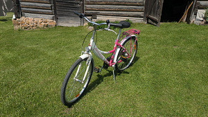 Laste jalgratas Raleigh Daisy (2 foto / 4)