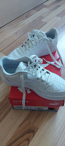 Puma (2 foto / 4)