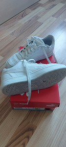 Puma (3 foto / 4)