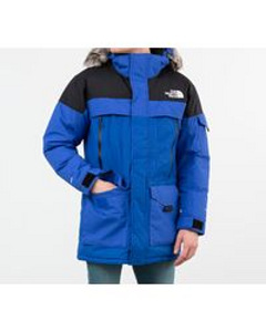 The north face (1 фото из 1)