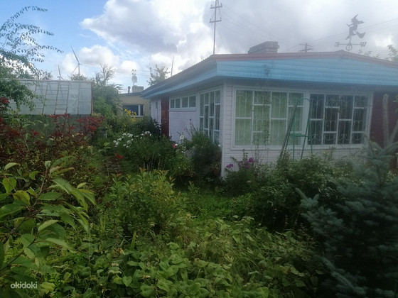 Kaevuri AÜ 29, Koljala, Lüganuse vald, Ida-Virumaa