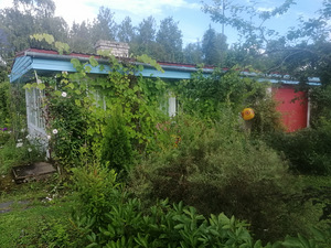 Kaevuri AÜ 29, Koljala, Lüganuse vald, Ida-Virumaa (2 foto / 12)