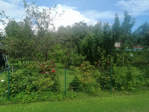 Kaevuri AÜ 29, Koljala, Lüganuse vald, Ida-Virumaa (4 foto / 12)
