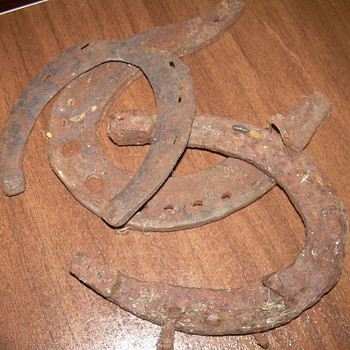 Hobuserauad