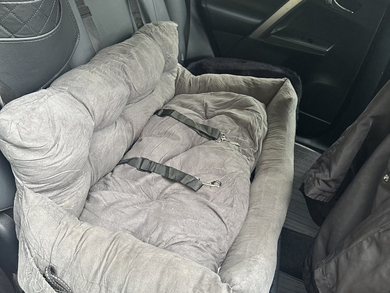 Автокресло для собак