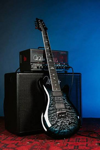 PRS SE Mark Holcomb SVN HL (1 фото из 6)