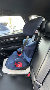Maxi-cosi rodi xp (1 фото из 3)