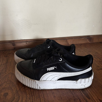 Puma 37