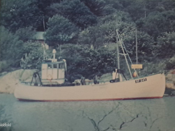 Tammist troolar – 18 m