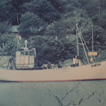 Tammist troolar – 18 m