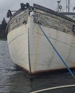 Tammist troolar – 18 m (3 foto / 6)