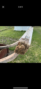 Regi (2 foto / 2)