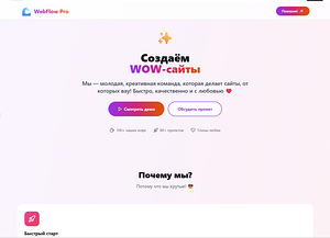 Разработка сайтов на заказ (4 фото из 5)