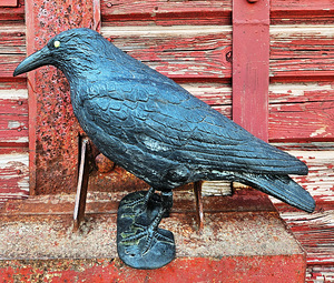 Vares plastikust (1 foto / 7)