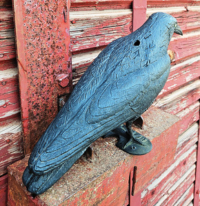 Vares plastikust (3 foto / 7)