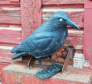 Vares plastikust (6 foto / 7)