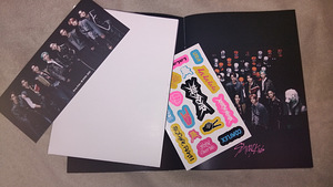 Stray Kids album/Стрей кидс альбом (3 фото из 4)