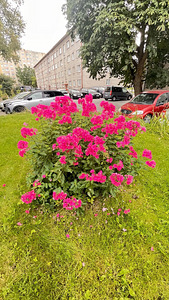 Sõle tn 64, Põhja-Tallinna, Tallinn, Harjumaa (44 фото из 44)