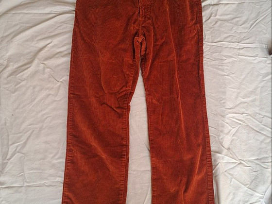 Pierre Cardin Deauville, sametpüksid, oranžid, W34/L34