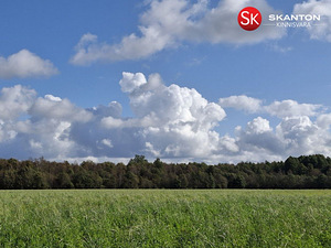 Jüri, Jõõdre, Haapsalu linn, Läänemaa (2 фото из 11)