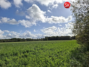 Jüri, Jõõdre, Haapsalu linn, Läänemaa (4 фото из 11)