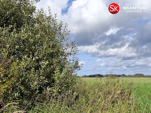 Jüri, Jõõdre, Haapsalu linn, Läänemaa (5 фото из 11)