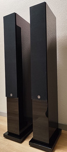 Колонки System Audio Saxo 50 (9 фото из 10)