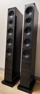 Колонки System Audio Saxo 50 (2 фото из 10)