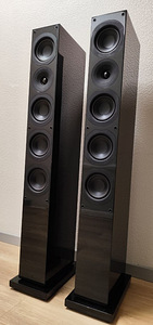 Колонки System Audio Saxo 50 (5 фото из 10)