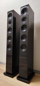 Колонки System Audio Saxo 50 (6 фото из 10)
