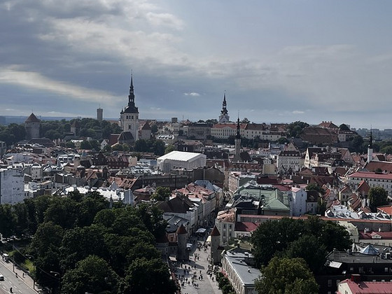 Tõlkija