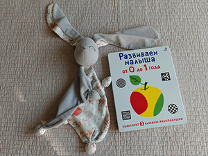 Arendav raamat beebile (1 foto / 4)