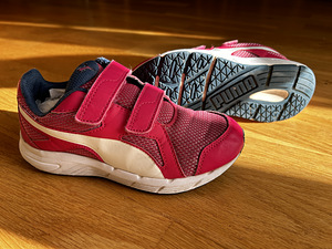 Puma tossud s.31 (2 foto / 3)