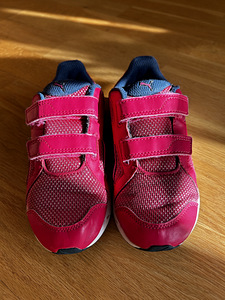 Puma tossud s.31 (3 foto / 3)