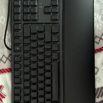 Клавиатура RAZER ORNATA v2