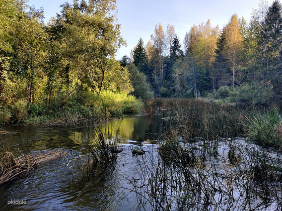 Sillajõe, Kanaküla, Saarde vald, Pärnumaa