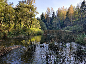 Sillajõe, Kanaküla, Saarde vald, Pärnumaa (1 foto / 9)