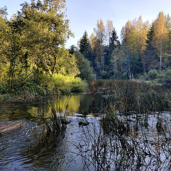 Sillajõe, Kanaküla, Saarde vald, Pärnumaa