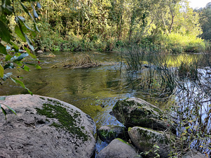 Sillajõe, Kanaküla, Saarde vald, Pärnumaa (4 foto / 9)
