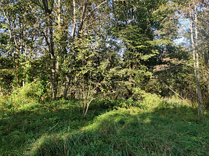 Sillajõe, Kanaküla, Saarde vald, Pärnumaa (7 foto / 9)