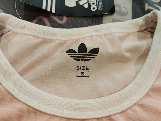 Spordikleit