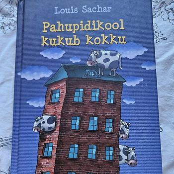 Raamat Louis Sachar 'Pahupidikool kukub kokku'